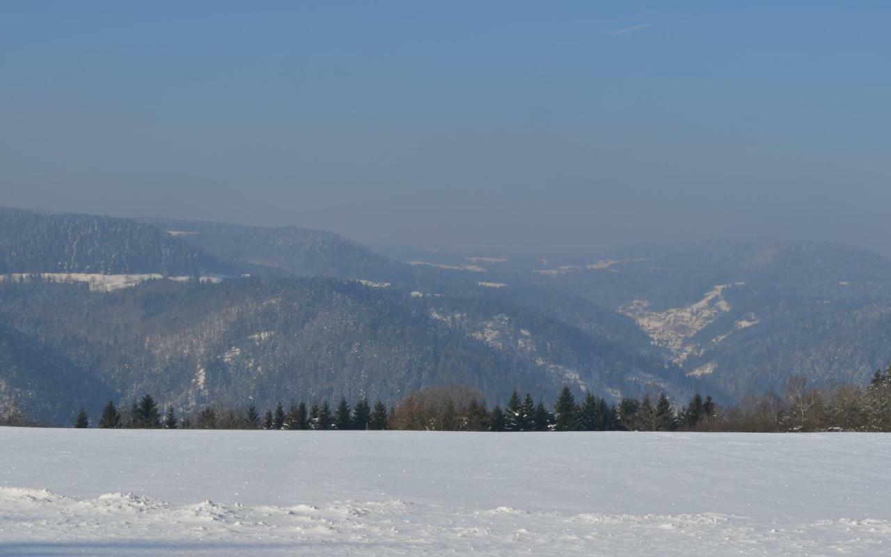 Sonnenhof Pensionat Schramberg Exteriör bild